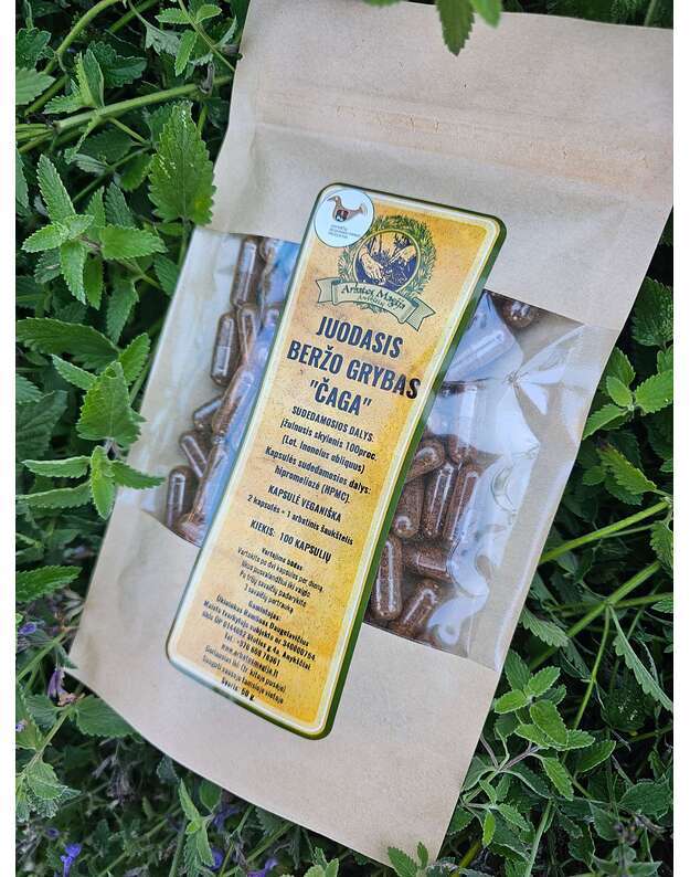 CHAGA  JUODASIS BERŽO GRYBAS kapsulėse 42 g.